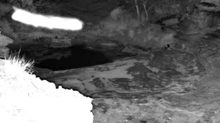 Still 1 from this detection