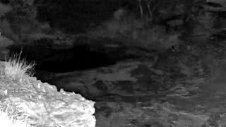 Still 1 from this detection