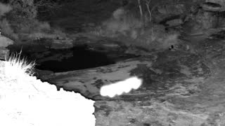 Still 1 from this detection