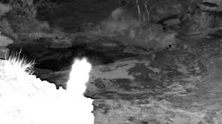 Still 2 from this detection