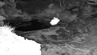 Still 1 from this detection