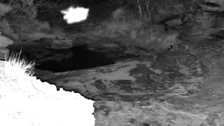 Still 2 from this detection