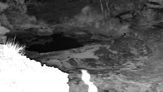 Still 1 from this detection