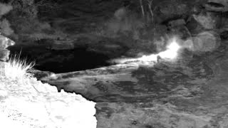 Still 3 from this detection