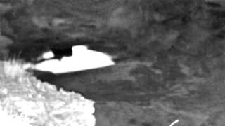 Still 1 from this detection