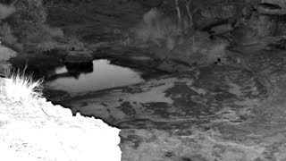 Still 1 from this detection