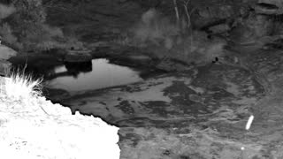 Still 2 from this detection