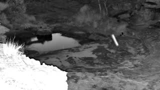 Still 3 from this detection