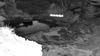 Still 1 from this detection