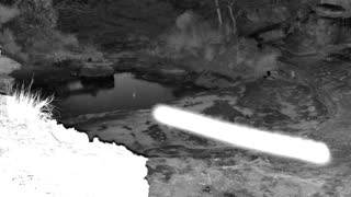 Still 2 from this detection