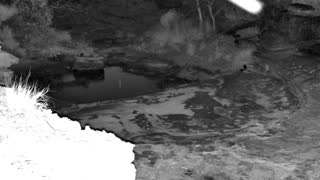 Still 1 from this detection