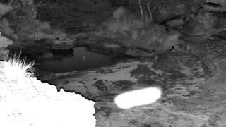 Still 1 from this detection