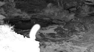 Still 1 from this detection