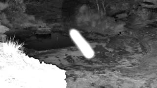 Still 2 from this detection
