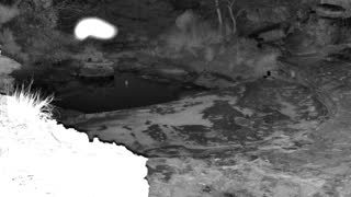 Still 1 from this detection