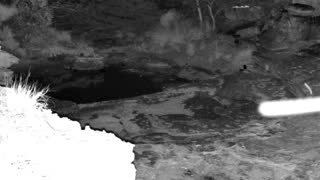 Still 1 from this detection