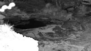 Still 2 from this detection