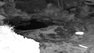 Still 2 from this detection