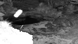 Still 2 from this detection