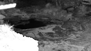 Still 2 from this detection