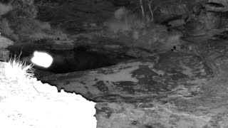 Still 1 from this detection