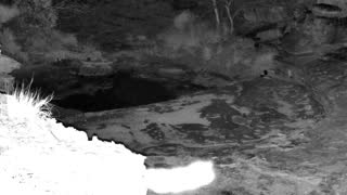 Still 2 from this detection