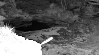 Still 1 from this detection