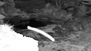 Still 1 from this detection
