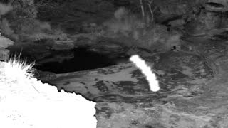 Still 1 from this detection
