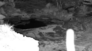 Still 2 from this detection
