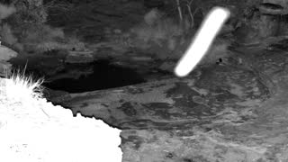Still 1 from this detection