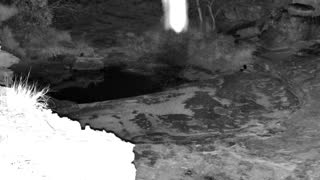 Still 1 from this detection