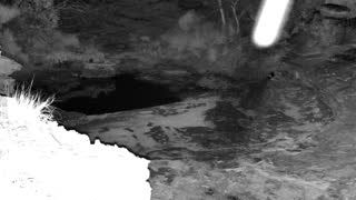 Still 1 from this detection