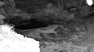 Still 1 from this detection