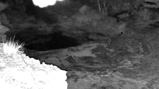 Still 1 from this detection