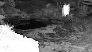 Still 1 from this detection
