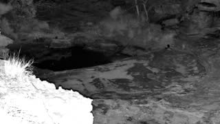 Still 3 from this detection