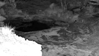 Still 2 from this detection
