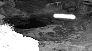 Still 2 from this detection