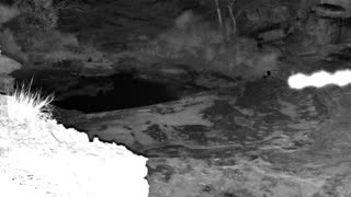 Still 2 from this detection