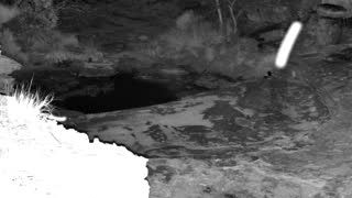 Still 2 from this detection