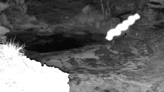 Still 1 from this detection