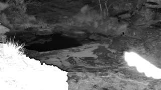 Still 1 from this detection