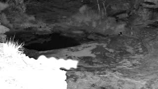 Still 2 from this detection