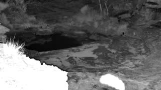 Still 2 from this detection