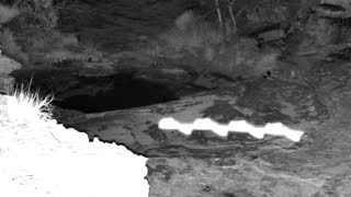 Still 1 from this detection