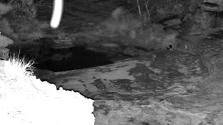 Still 1 from this detection
