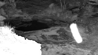 Still 1 from this detection