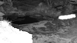 Still 2 from this detection