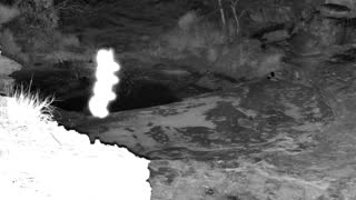 Still 1 from this detection
